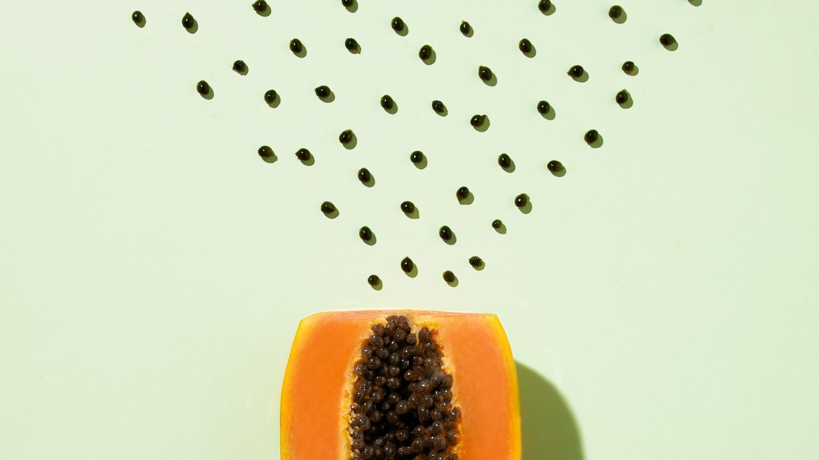 Lion Decor – Ghế Barber Cao Cấp | Ghế Cắt Tóc Nam – Nội Thất Barber Chuyên Nghiệp