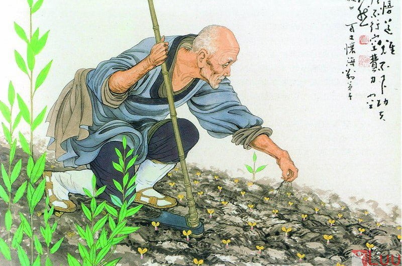 Lion Decor – Ghế Barber Cao Cấp | Ghế Cắt Tóc Nam – Nội Thất Barber Chuyên Nghiệp