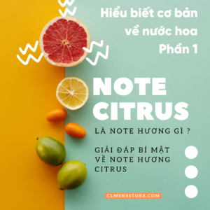 citrus recipe 1