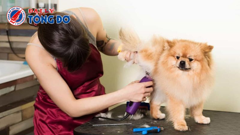 Lion Decor – Ghế Barber Cao Cấp | Ghế Cắt Tóc Nam – Nội Thất Barber Chuyên Nghiệp