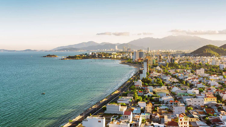 Lion Decor – Ghế Barber Cao Cấp | Ghế Cắt Tóc Nam – Nội Thất Barber Chuyên Nghiệp