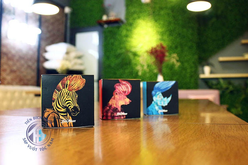 Lion Decor – Ghế Barber Cao Cấp | Ghế Cắt Tóc Nam – Nội Thất Barber Chuyên Nghiệp