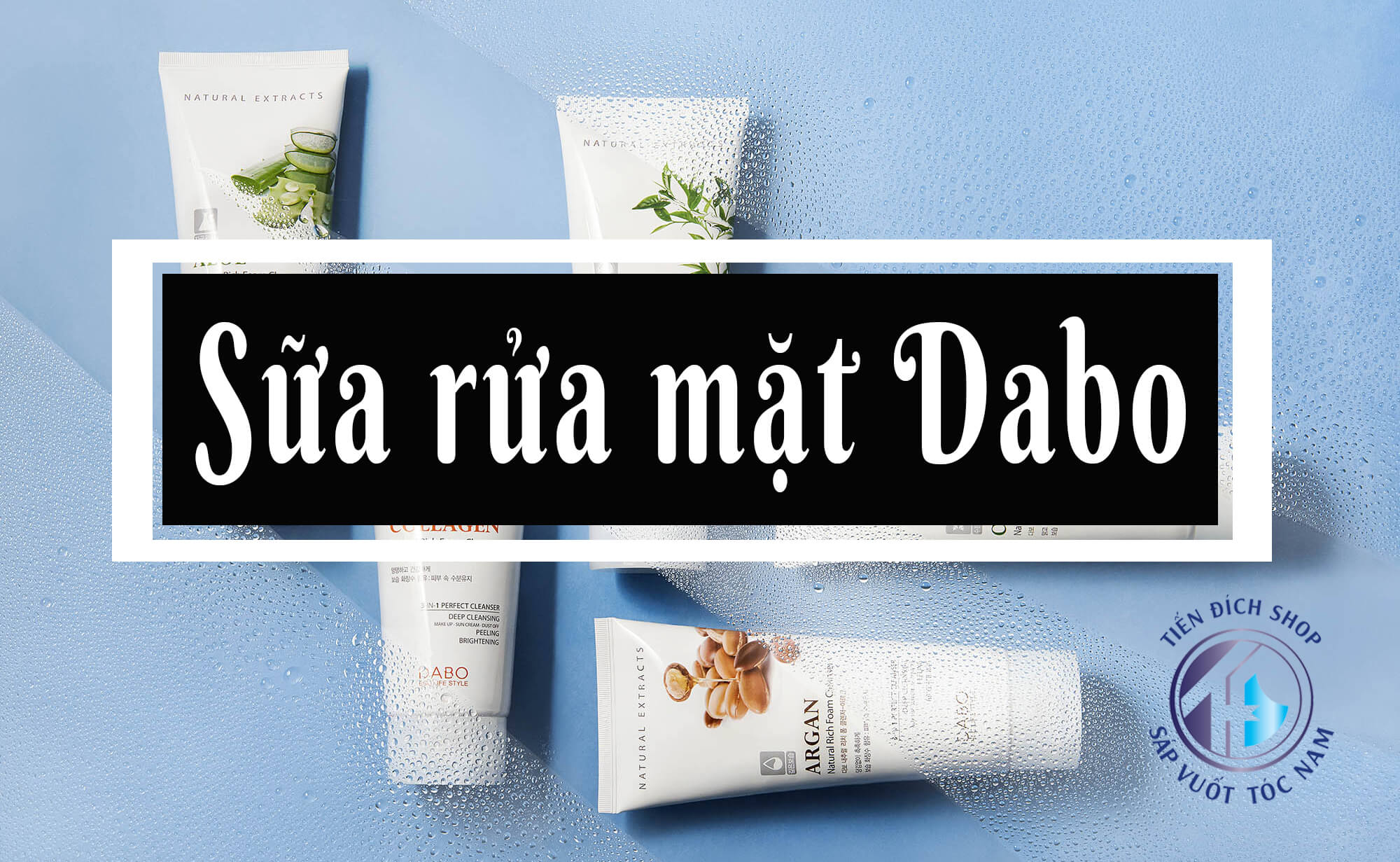 Lion Decor – Ghế Barber Cao Cấp | Ghế Cắt Tóc Nam – Nội Thất Barber Chuyên Nghiệp