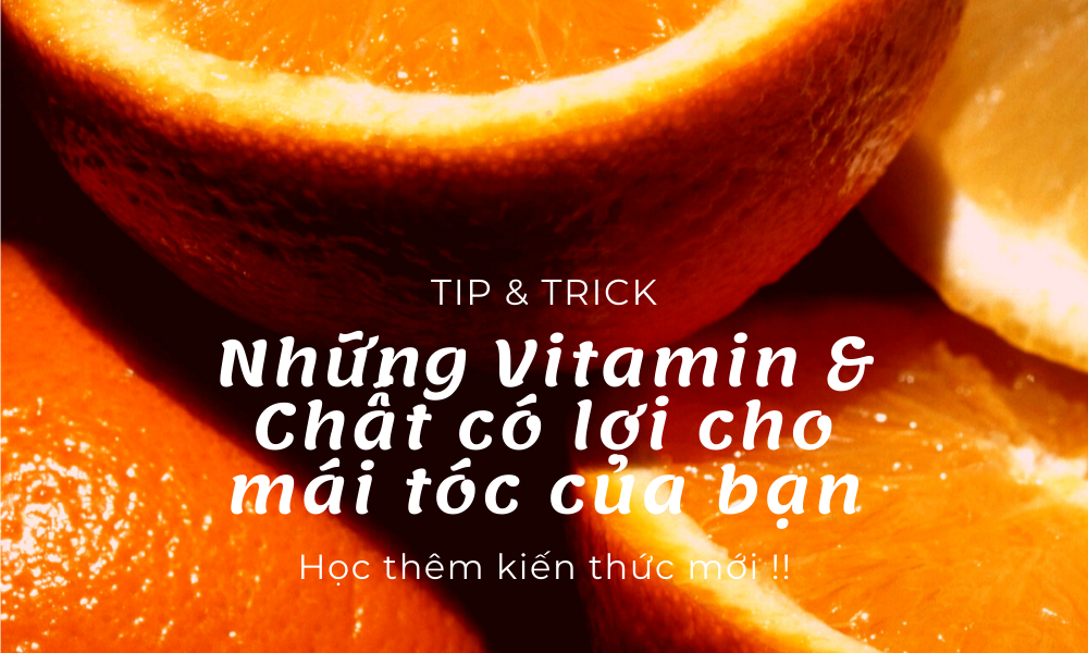 Lion Decor – Ghế Barber Cao Cấp | Ghế Cắt Tóc Nam – Nội Thất Barber Chuyên Nghiệp