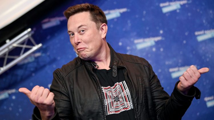 Elon Musk không sai khi nói: đại học là chỗ chỉ để cho vui chứ không để học?