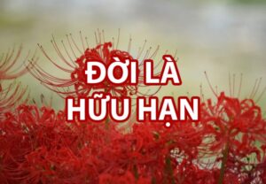 đời là hữu hạn