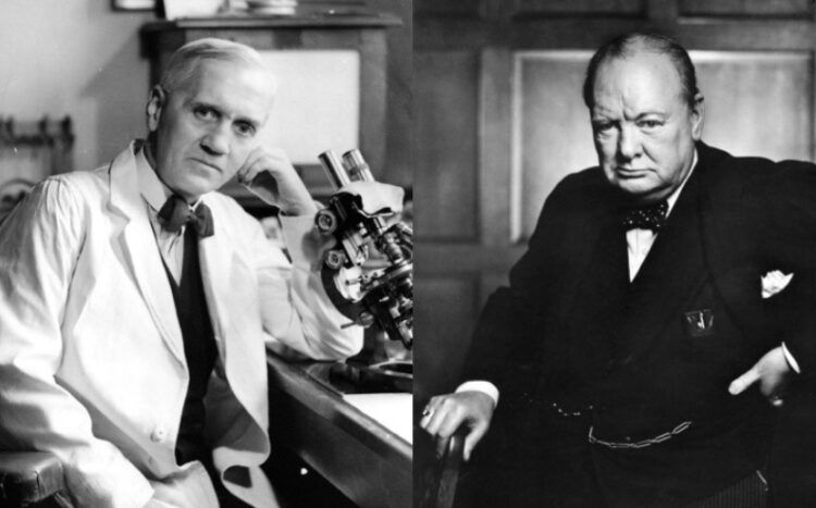 Sự thật câu chuyện về Alexander Fleming và Winston Churchill