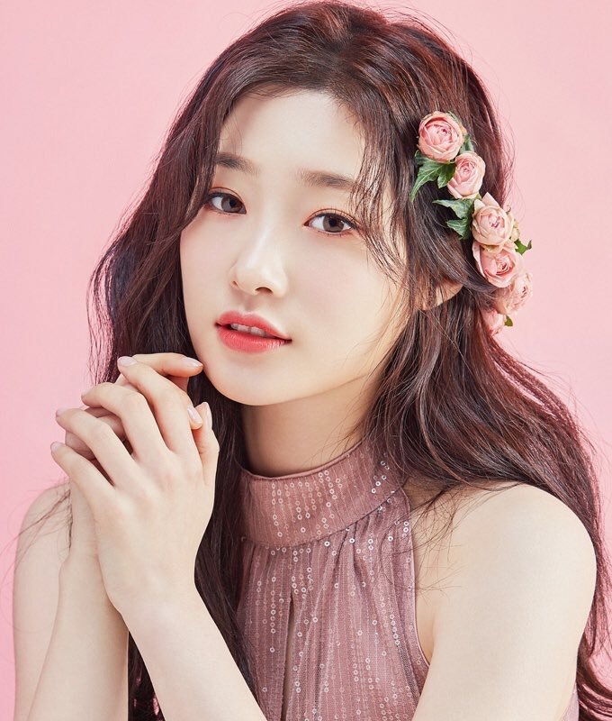 Lion Decor – Ghế Barber Cao Cấp | Ghế Cắt Tóc Nam – Nội Thất Barber Chuyên Nghiệp