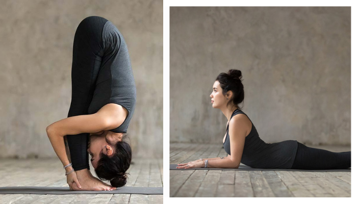 Lion Decor – Ghế Barber Cao Cấp | Ghế Cắt Tóc Nam – Nội Thất Barber Chuyên Nghiệp