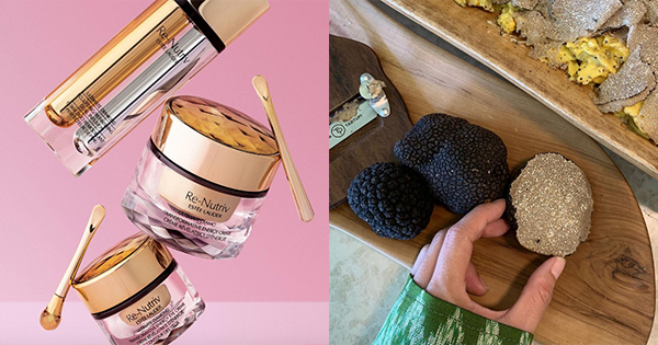 Lion Decor – Ghế Barber Cao Cấp | Ghế Cắt Tóc Nam – Nội Thất Barber Chuyên Nghiệp