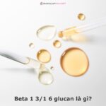 Beta 1 3/1 6 glucan là gì? Bí mật đằng sau hoạt chất đình đám!