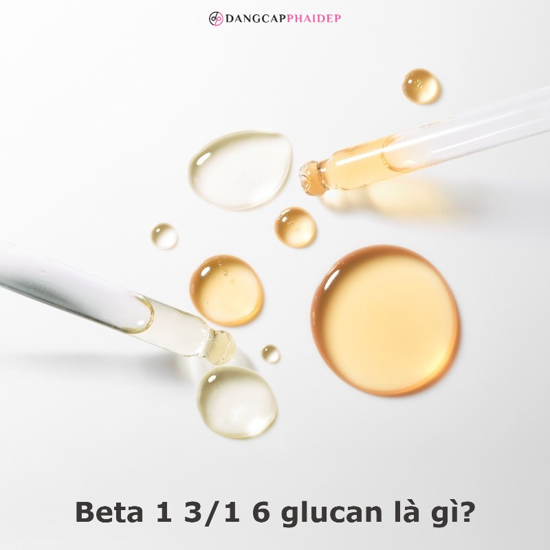 Beta 1 3/1 6 glucan là gì? 