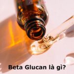 Beta Glucan chính xác là gì?