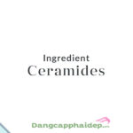 Mọi thứ bạn cần biết về Ceramides - Thành phần chăm sóc da thần thánh