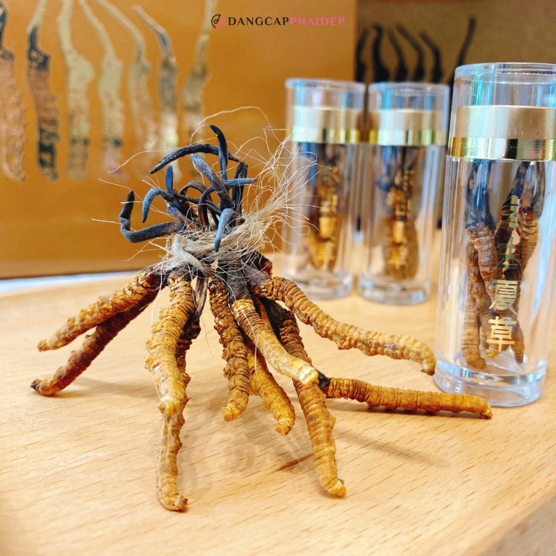 Lion Decor – Ghế Barber Cao Cấp | Ghế Cắt Tóc Nam – Nội Thất Barber Chuyên Nghiệp