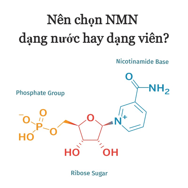 Nên chọn NMN dạng nước hay dạng viên?