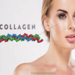 Tác dụng của collagen tươi và những lưu ý quan trọng khi sử dụng