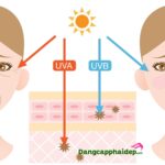 Tia UV và những tác hại nguy hiểm đối với làn da?