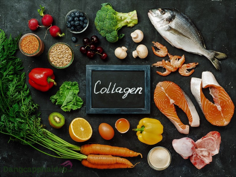 Collagen có trong thực phẩm nào