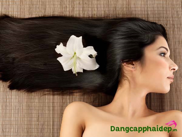 Lion Decor – Ghế Barber Cao Cấp | Ghế Cắt Tóc Nam – Nội Thất Barber Chuyên Nghiệp