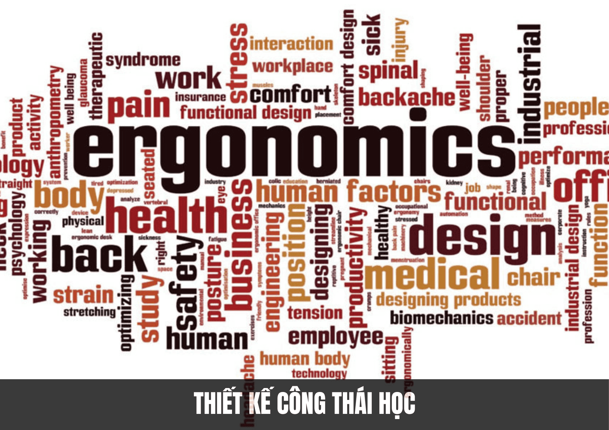 Thiết kế công thái học