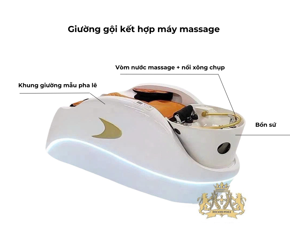 Mô tả giường gội massage VIP2